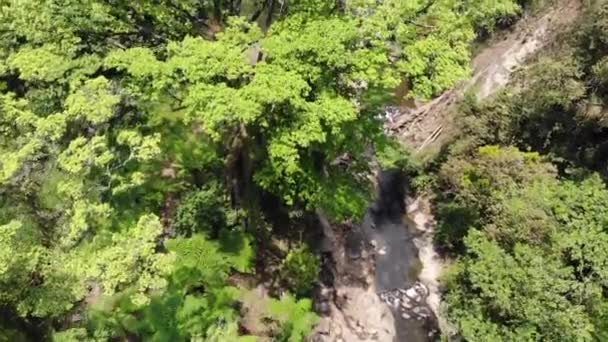 Drohnenvideo Von Der Exotik Eines Klaren Flusses Einem Schönen Wald — Stockvideo