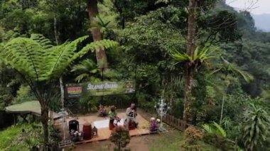 Doğada seyahat etmenin heyecan verici atmosferinin drone videosu. Güzel bir ormanda tur.