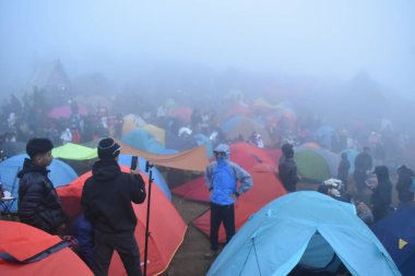 Dieng, Endonezya 'daki Prau Dağı' na tırmanmak için tatil. Bu dağ meşgul ve güzel..