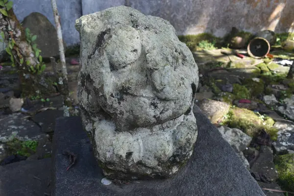 Petungkriyono, Pekalongan Regency, Central Java, Endonezya 'daki antik tarihi lingga yoni Naga Pertala bölgesi. İlginç bir geçmiş..