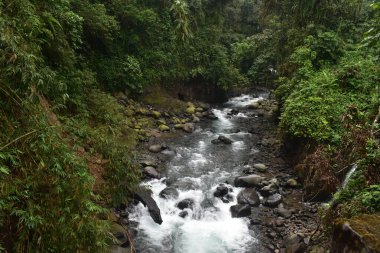 gurgling clear waterfall flow in the cool mountains of Indonesia. This waterfall flow is a source of water and beautiful tourism.