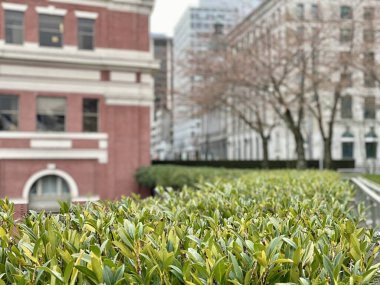 Şehir merkezi yaşam tarzı modern çağdaş  