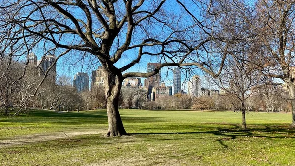 Central Park Manhattan Skyline Mar Hudson Ciudad Nueva York —  Fotos de Stock