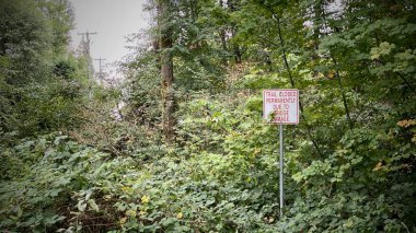 Sonbahar yaprakları yaprakları akçaağaç Kanada mevsimi renkli yaratıcı model vancouver