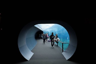 Cenova, İtalya - 31 Mart 2024: Cenova Akvaryumu 'nu ziyaret eden turistler.