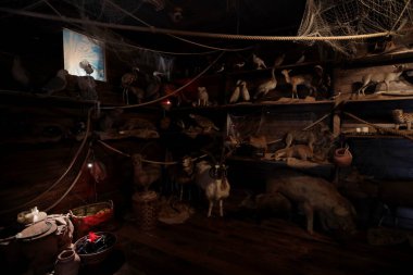 Calci, Pisa, İtalya - 1 Mayıs 2024: Nûh 'un Gemisinin içi, Pisa Üniversitesi Doğa Tarihi Müzesi' nde hayali bir kopya.