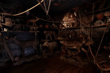 Calci, Pisa, İtalya - 1 Mayıs 2024: Nûh 'un Gemisinin içi, Pisa Üniversitesi Doğa Tarihi Müzesi' nde hayali bir kopya.