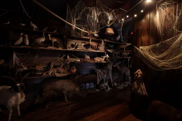 Stock image Calci, Pisa, Italy - May 1, 2024: The interior of Noah's Ark, fantasy replica at the Natural History Museum of the University of Pisa.