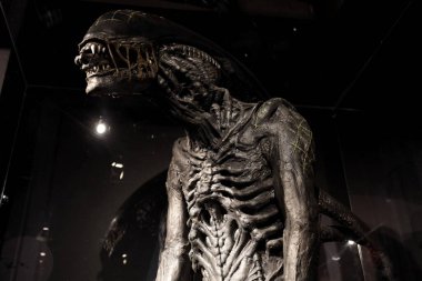 Torino, İtalya - 29 Haziran 2024: Turin 'deki Ulusal Sinema Müzesinde Uzaylı Köstebek Antonelliana.