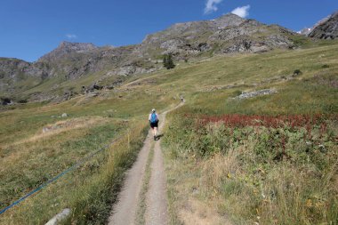 Aosta Vadisi, İtalya - 16 Ağustos 2024: Gran Paradiso Ulusal Parkı 'ndaki Val di Rhemes patikasındaki yürüyüşçüler. Aosta Vadisi, İtalya.