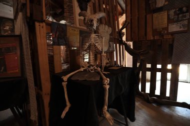 Bagni di Lucca, Toskana, İtalya - 25 Nisan 2025: Bagni di Lucca 'daki Villa Webb' de İmkansızlar Müzesi.