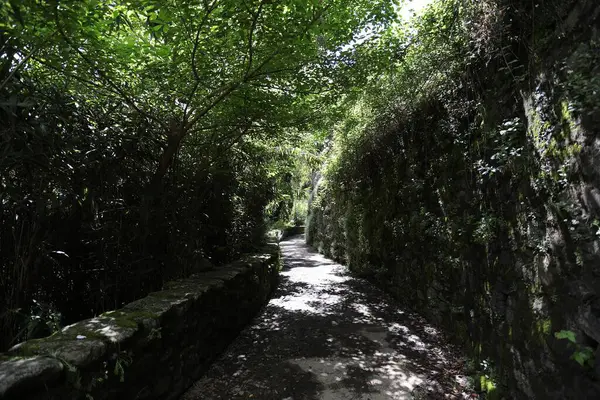 Bagni di Lucca, Tuscany, İtalya 'daki Lima deresinde yürüyüş..