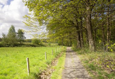 View over a path in the Pannenhoef nature reserve located between Zundert, Etten-Leur and Rijsbergen in the province of North Brabant