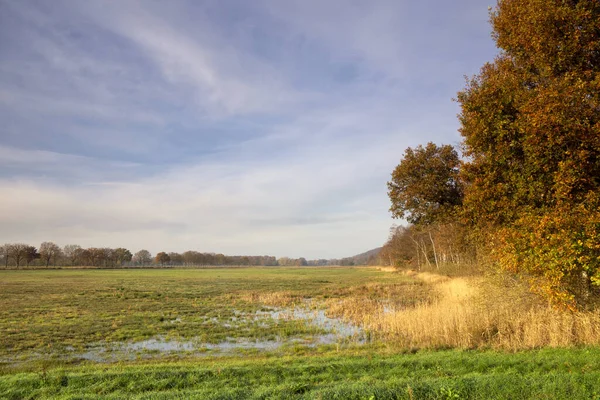 Naturschutzgebiet Diepen Mit Bäumen Herbstlichen Farben Fuße Des Sint Jansberg Stockfoto