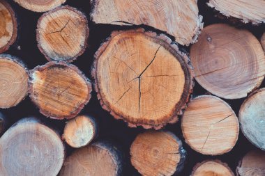 Farklı kalınlıkta ağaç gövdeleri üst üste istiflenmiş. Arkaplan, doku.