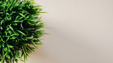 Yeşil yapay çimlerin yanındaki yazı için boşluk kapat. Yukarıdan bak. Bej arkaplan