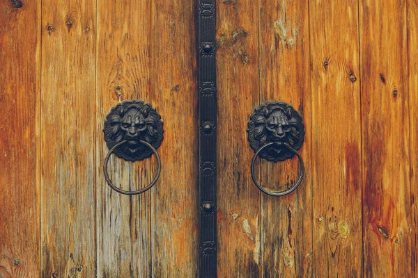 Decoration Wooden Gates Knocker Form Lion Heads Rings Mouth Close — Stock Photo, Image