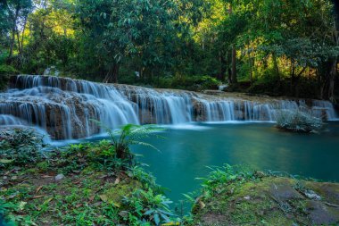 Payao, Tayland 'daki Doi Phu Nang Ulusal Parkı' ndaki Sawan şelalesinden