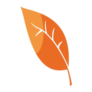 Sonbahar yaprakları yaprak doğa ikonu vektör illüstrasyon tasarımı