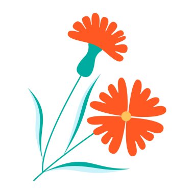 beyaz zemin üzerine portakal çiçeği