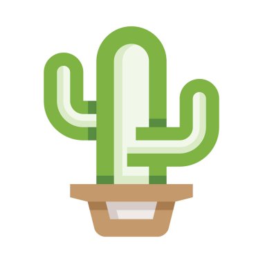 Kaktüs bitkisi, beyaz arka planı olan bir tencerede.