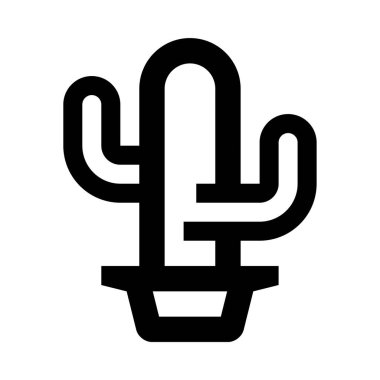 beyaz zemin üzerinde bir tencerede bir kaktüs bitki