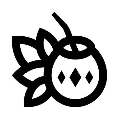 Hindistan cevizi meyvesinin siyah beyaz resmi.