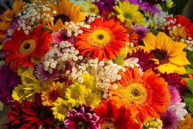 Çeşitli ve renkli çiçeklerin arkaplanı.