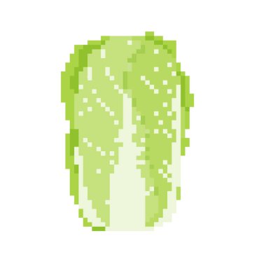 Çin lahanası. Düzenlemesi kolay vektör illüstrasyonu.