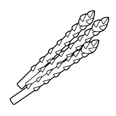 kuşkonmaz. Düzenlemesi kolay vektör illüstrasyonu.