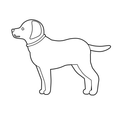 Golden Retriever. Düzenlemesi kolay vektör illüstrasyonu.