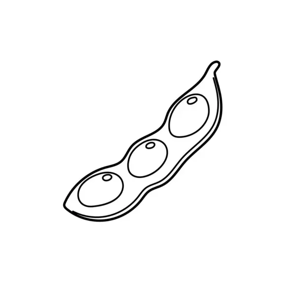 Broad Beans Vector Illustration Easy Edit — Stock Vector