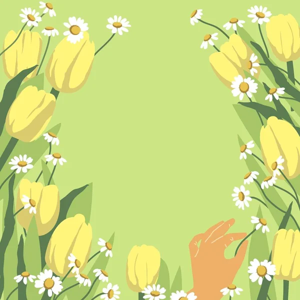Lente Achtergrond Met Gele Tulpen Madeliefjes Bloemen Achtergrond Voor Ontwerp — Stockvector