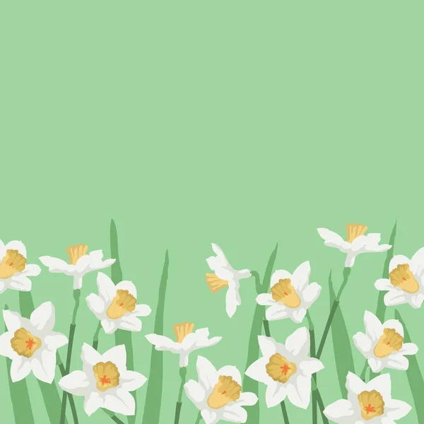 Voorjaarsspandoek Met Narcissen Bloemen Achtergrond Voor Ontwerp Plaats Voor Tekst — Stockvector