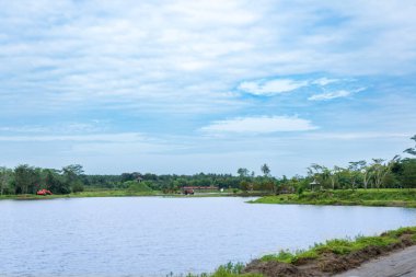 Bir sürü ağacın olduğu bir manzara, ıssız bir pavyon, bir göl, ve mavi renkli gökyüzü, görünür bir bulut, renkli bir manzara.