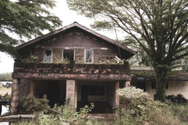 Terk edilmiş eski usul ahşap bir evin önü. Etrafında bitkiler yetişiyor.