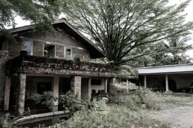 Terk edilmiş eski usul ahşap bir evin yan görüntüsü. Etrafında bitkiler yetişiyor. Ürkütücü titreşimlerle.