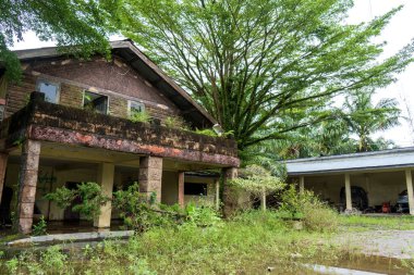 Terk edilmiş eski usul ahşap bir evin yan görüntüsü. Etrafında bitkiler yetişiyor.