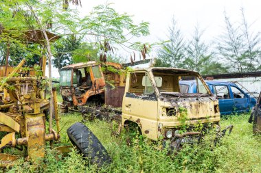 Etrafında bitkiler büyümeye başlarken parçalanmış araçların görüntüsü.