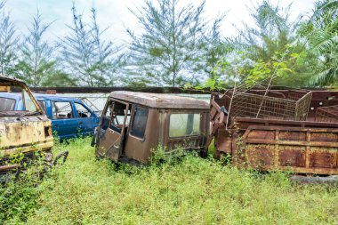 Etrafında bitkiler büyümeye başlarken parçalanmış araçların görüntüsü.