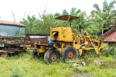 Bir parkın etrafındaki bitkilerin büyümeye başlamasıyla bozulan çeşitli araçların görüntüsü.