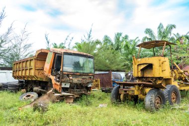 Bir parkın etrafındaki bitkilerin büyümeye başlamasıyla bozulan çeşitli araçların görüntüsü.