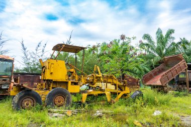 Bir parktaki bitkilerin büyümeye başladığı, eski bir traktöre odaklanmış, birden fazla çeşit aracın görüntüsü bozulmuş.
