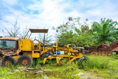 Bir parktaki bitkilerin büyümeye başladığı, eski bir traktöre odaklanmış, birden fazla çeşit aracın görüntüsü bozulmuş.