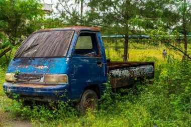 Öğle vakti parkın ortasında terk edilmiş mavi bir kamyonetin yan görüntüsü.