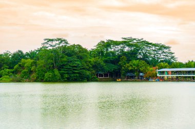 Bir sürü ağaç, bir göl ve biraz turuncu renkli bulutlu, renkli manzaralı bir manzara.