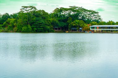 Bir sürü ağaç, bir göl ve görünür bulutlu yeşil renkli bir gökyüzü olan bir manzara. Renkli bir manzara.