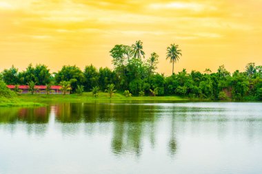 Bir sürü ağaç, bir göl ve turuncu renkli gökyüzü olan bir manzara. Görünür bulutlar, renkli manzaralar.