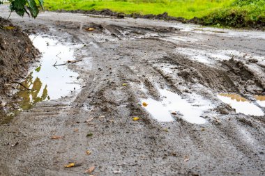 Çoklu aracın izlerinin bulunduğu parkta su dolu kumlu bir patika.