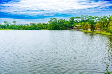 Bir sürü ağaç, bir göl ve mavi gökyüzü olan bir manzara. Görünür bulutlu, renkli manzaralı.